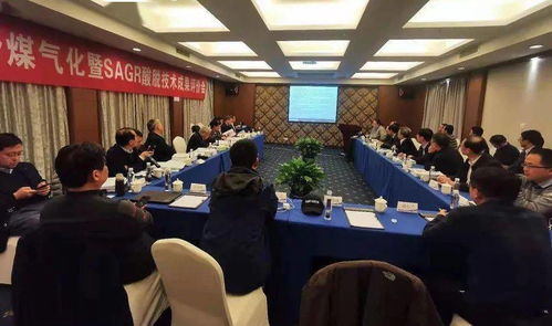 高灰熔点劣质煤高效气化关键技术开发及应用成果通过评审